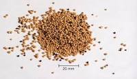  Ukraine exporters directory-mustard seed exporters at TurkExim Company Directory