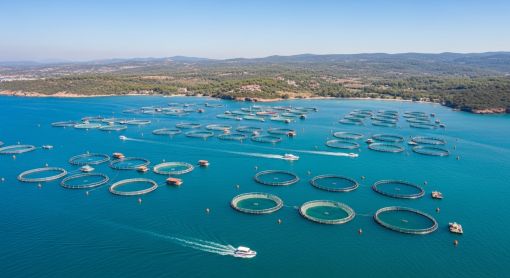 Как анализ данных коносаментов помогает оптимизировать логистику Как анализ данных коносаментов помогает оптимизировать логистику