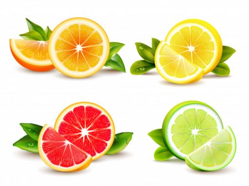 slovenya taze limon ithalatçıları slovenya'da gtip 080550100000 taze limon ithal eden firmalar